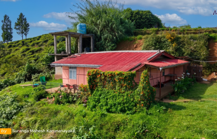 MN-002B Nuwara eliya (Cottage)